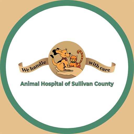 Catskill Veterinarian
