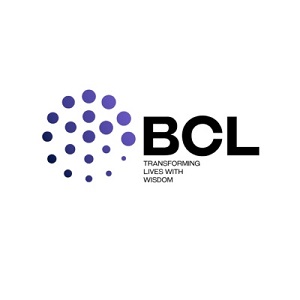 BCL Globiz Accounting and Consulting LLC