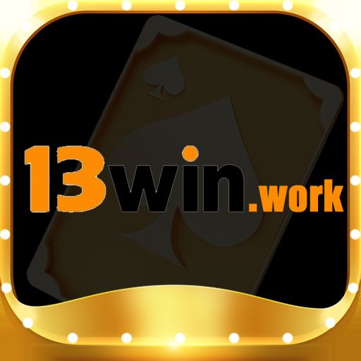 13winvninnet