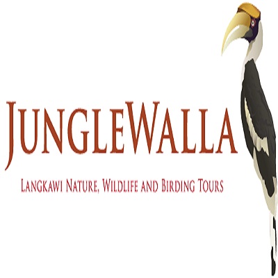 Junglewalla