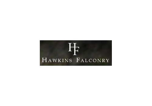 Hawkins Falconry