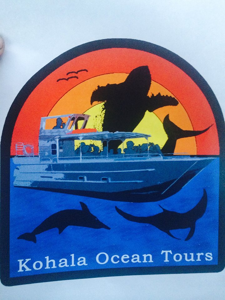 kohalatours kohalatours