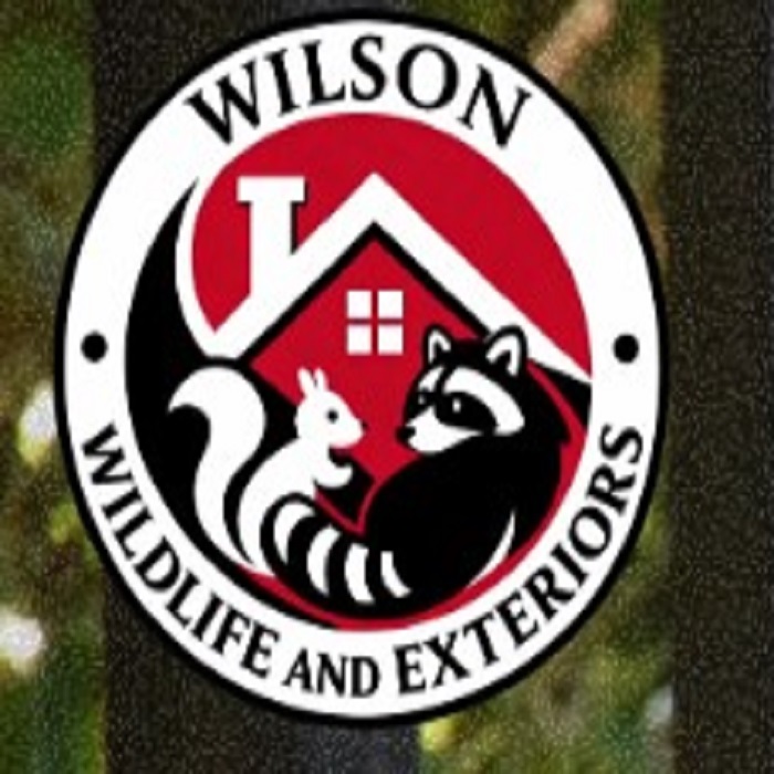 Wilson Wildlife & Exteriors