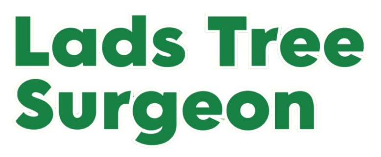 treesurgeonsouthend