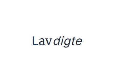 Lavdigte