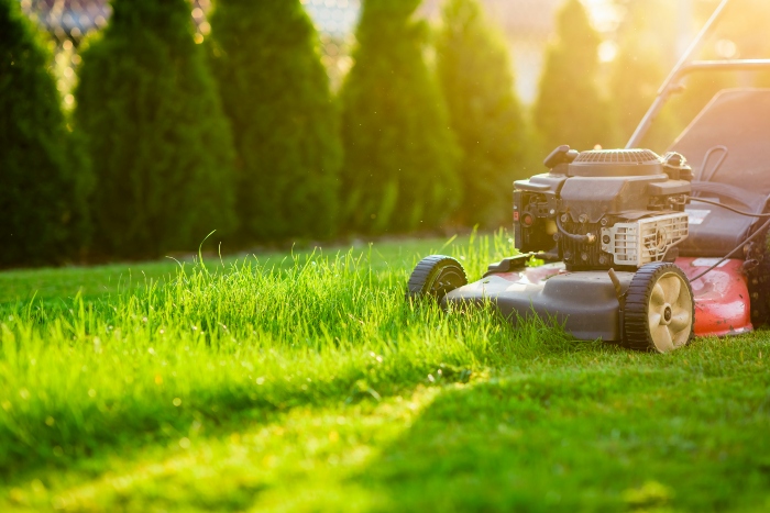 Green Lawn Care And Tree Service Parma OH
