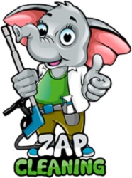 ZAP Cleaning