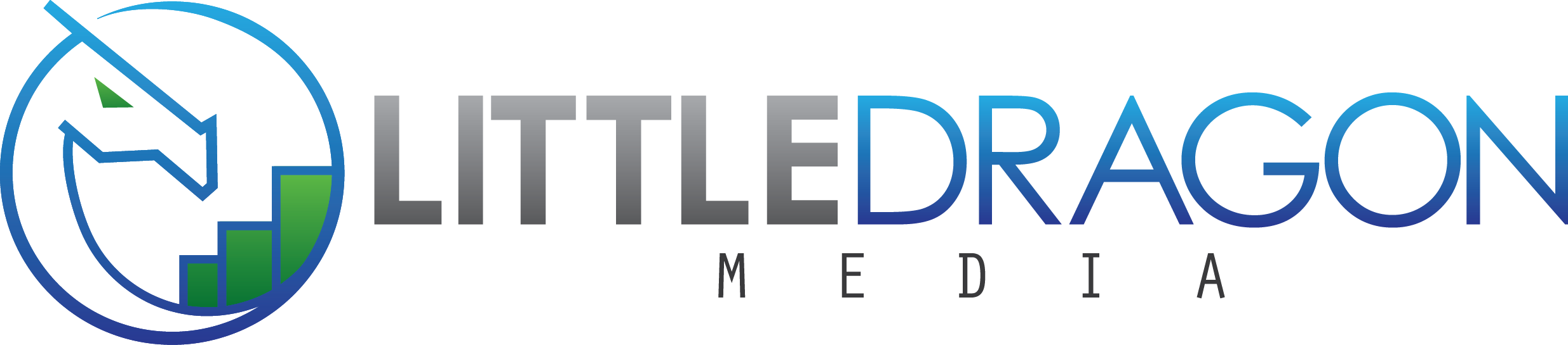 Little Dragon Media