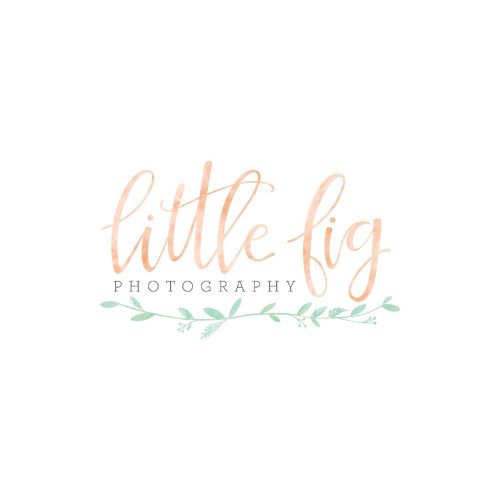 littlefigphotography