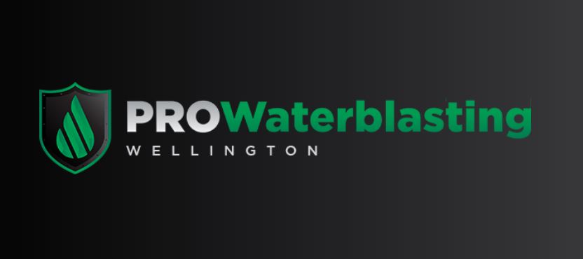 Pro Waterblasting Wellington