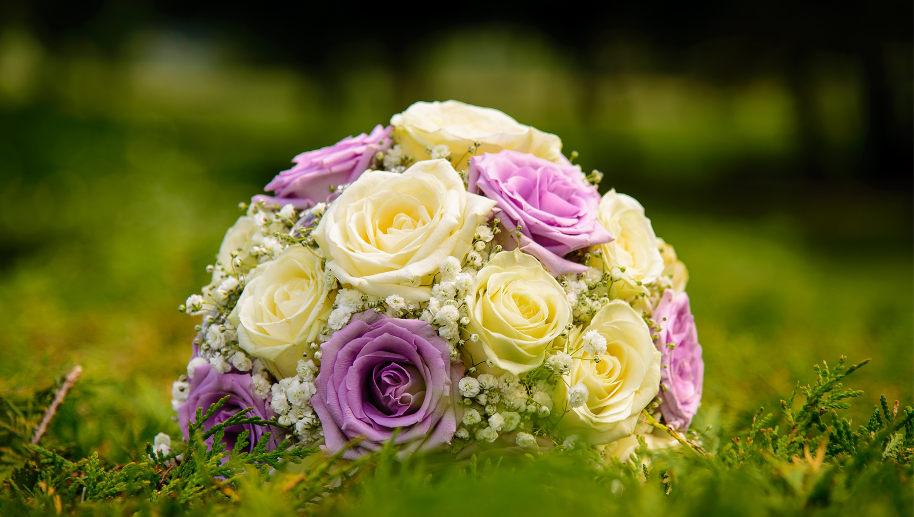 Lush & Love Singapore