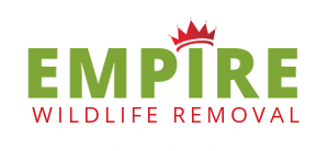 empire wildlife removal 