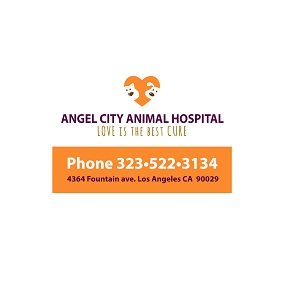 Angel City Animal Hospital