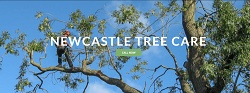 Newcastle Tree Care