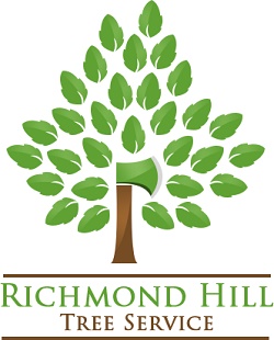 Richmond Hill Tree Service