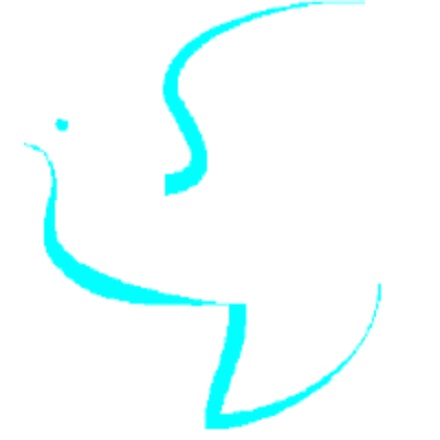 Sense Massage Therapy