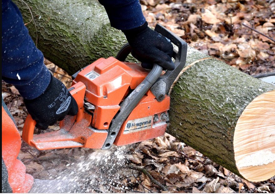 Southern Maryland Fellers Tree Service