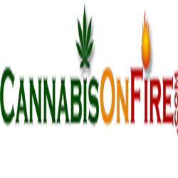 Cannabis On Fire