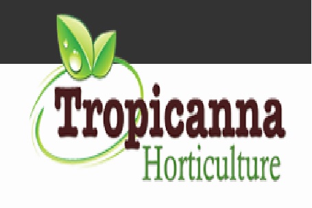 Tropicanna Horticulture Ltd