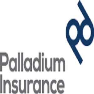 Palladium Insurance