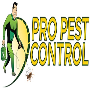 Pro Pest Control Brooklyn