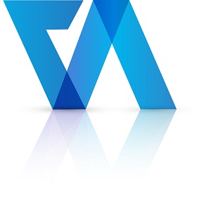 Virtual Auditor Private Limited