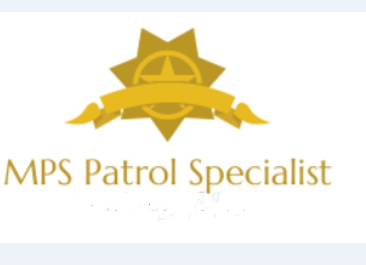 Medinas Protective Services