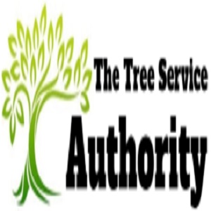 Austin Tree Service Authority