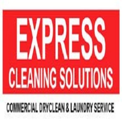Express Cleaning Solutions
