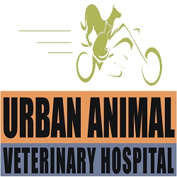 Urban Animal Veterinary Hospital - Houston Heights