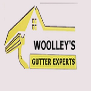 Woolley's Gutter Experts San Diego