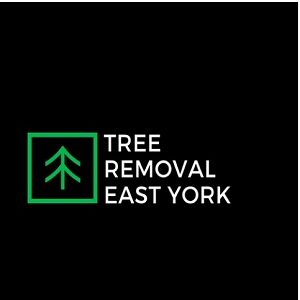 Tree Removal East York