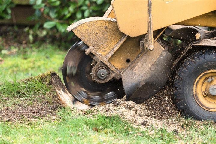 Colleyville Stump Grinding