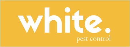 White Pest Control