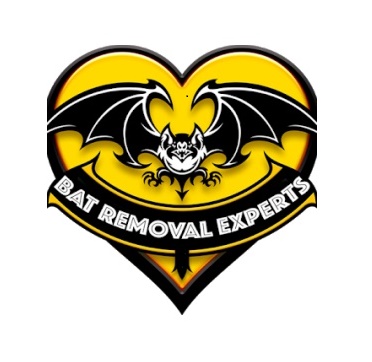 Batremovalexperts Batremovalexperts