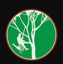 Boulder Tree Services
