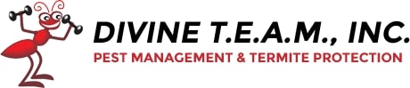 Divine T.E.A.M. Inc.