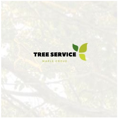 Tree Service Maple Grove
