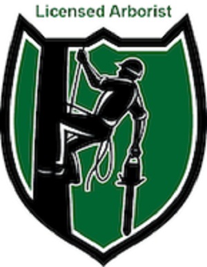 Hawthorne's Tree Service Lakeland FL