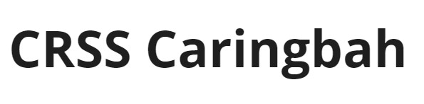 CRSS Computer repairs caringbah