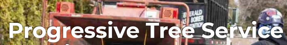 Progressive Tree Service