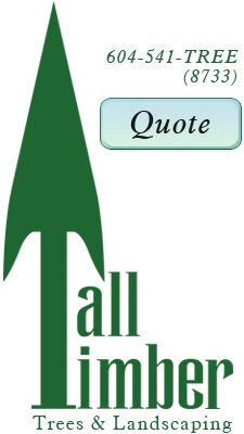 Tall Timber Tree Services Ltd.