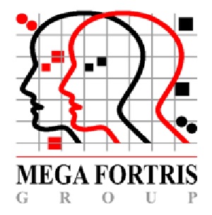 Mega Fortris Hong Kong Ltd