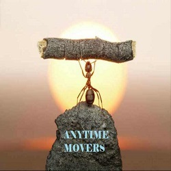 Anytime Movers Singapore