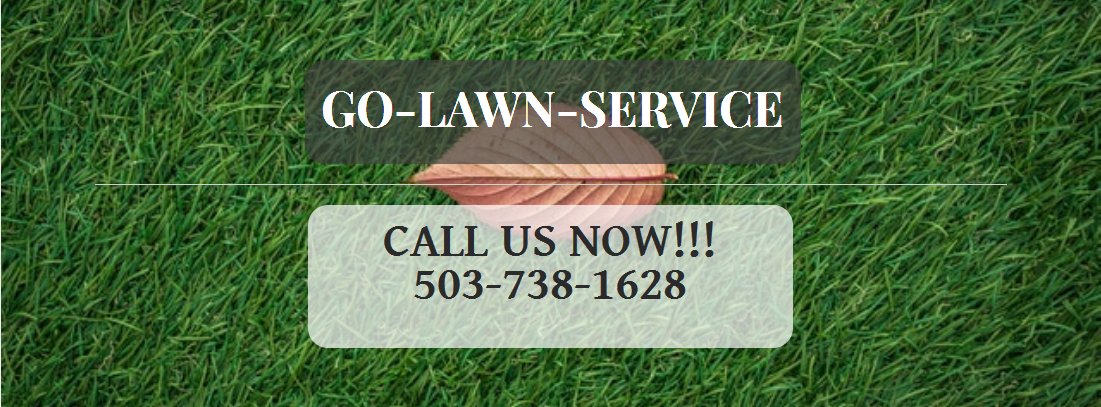 Go lawn service