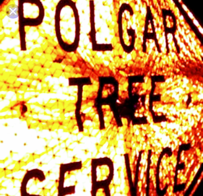 Polgar Tree Service & Removal LLC	