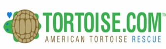 American Tortoise Rescue 