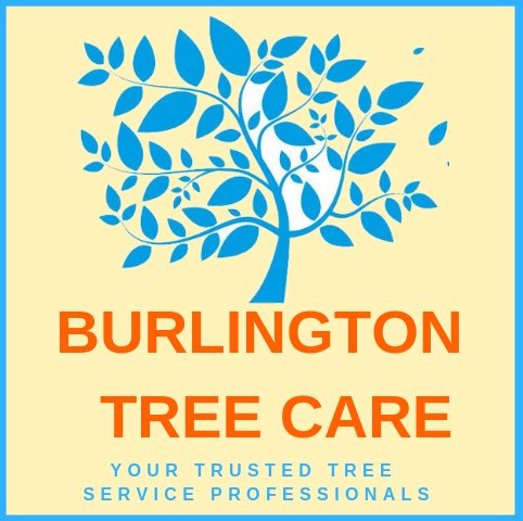 Burlington Tree Care