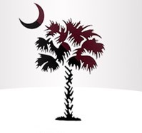 Palmetto Renovations