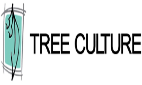 Tree Culture